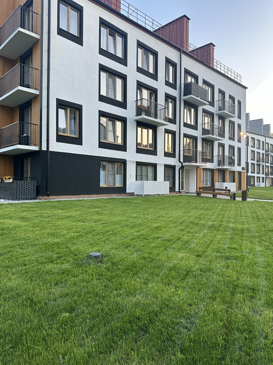 Озеленение 